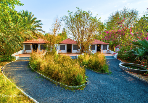 Safari Cottages