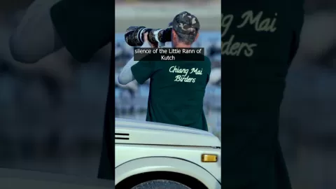 Embedded thumbnail for Wild Encounters in the Rann: Safari Adventures at Rann Riders